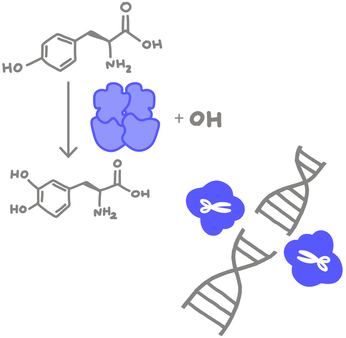 Genome Advisory - Resources